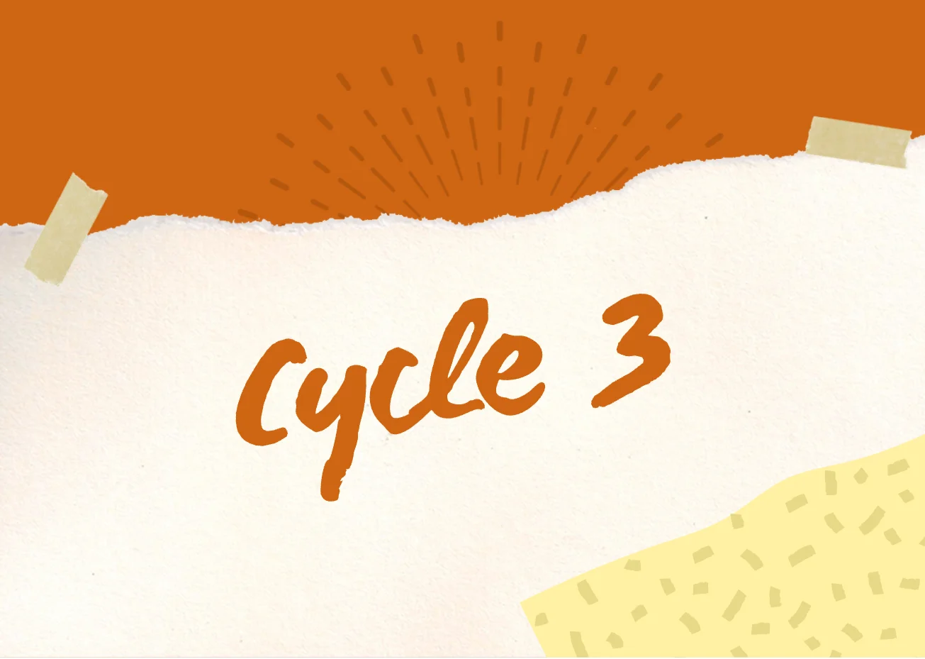 Cycle 3